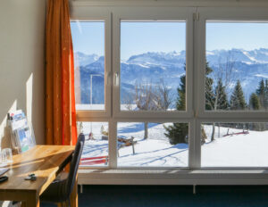 Hotel Rigi Kaltbad: Standard Double Room with Mountain View