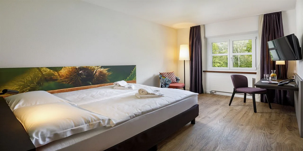 Hotel Bellinzona Sud, Bellinzona: Disabled friendly Room with Queen Size Bed 