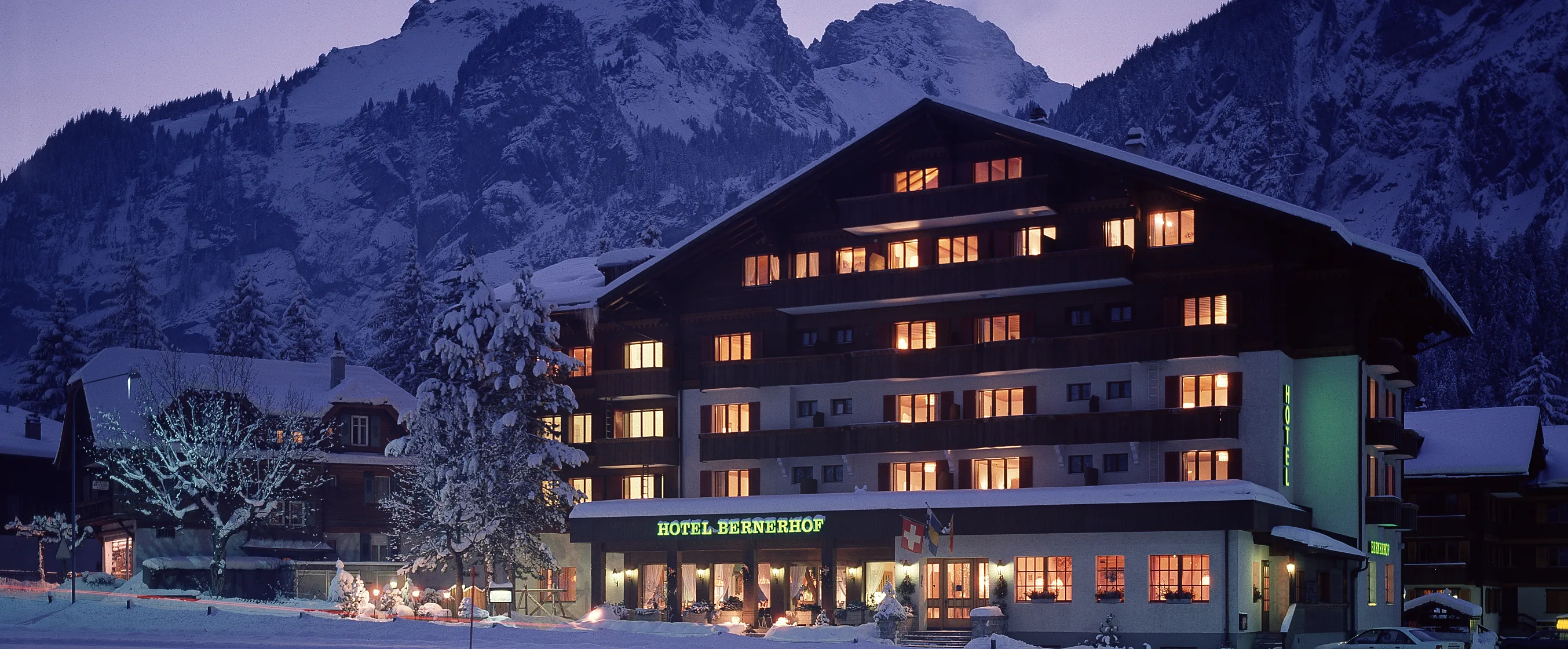 坎德施泰格 Bernerhof 酒店：标准双床间 - 山景