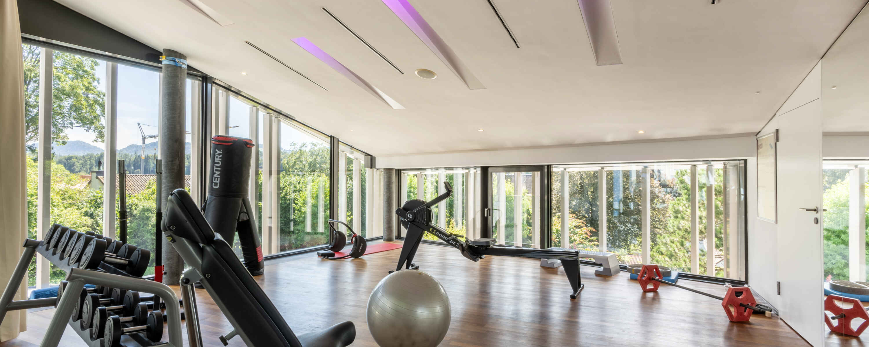 Hotel Belvoir, Rueschlikon: gym