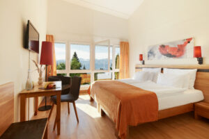 Hotel Rigi Kaltbad: Standard Double Room with Mountain View