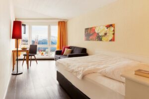 Hotel Rigi Kaltbad: Single Room with Mountain View