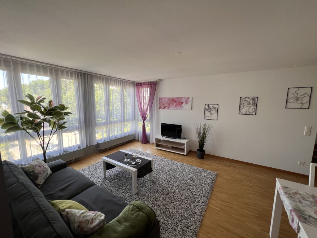 Herisau Apartments : Appartement Terra Olivia Salle de séjour