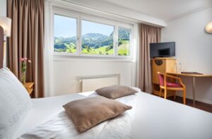 Hotel Seerausch, Beckenried: Comfort Twin or Queen Bedded Room - Mountain View