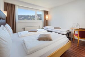 Hotel Seerausch, Beckenried: Comfort Double Room with extra bed - Lake View