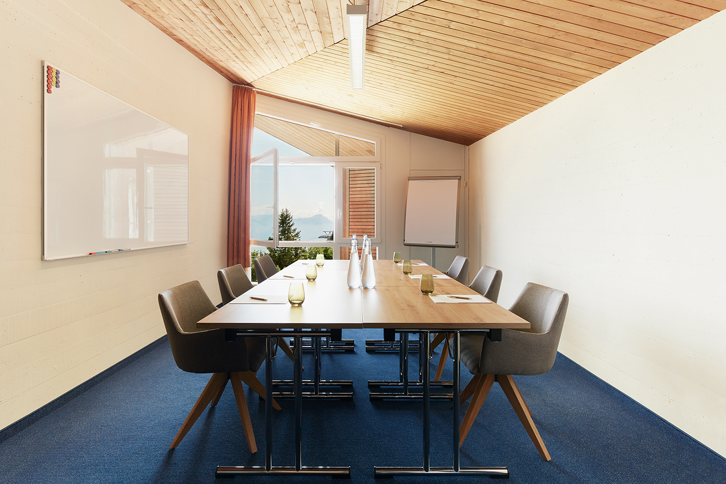 Hotel Rigi Kaltbad: meeting room