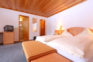 Hotel Bernerhof, Kandersteg: standard twin room - mountain view