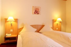 Hotel Bernerhof, Kandersteg: standard twin room - mountain view