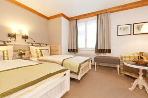 Hotel Eiger, Muerren: Double Room forest side