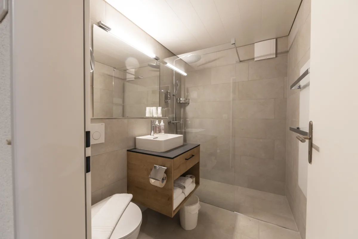 哥廷根 Seemöwe 酒店：带阳台的橡木质朴湖畔双人间