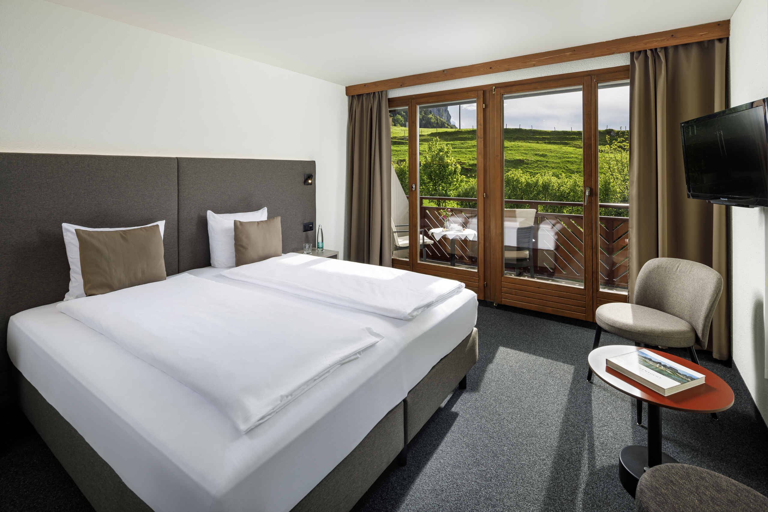 Double room with mountain view - main building