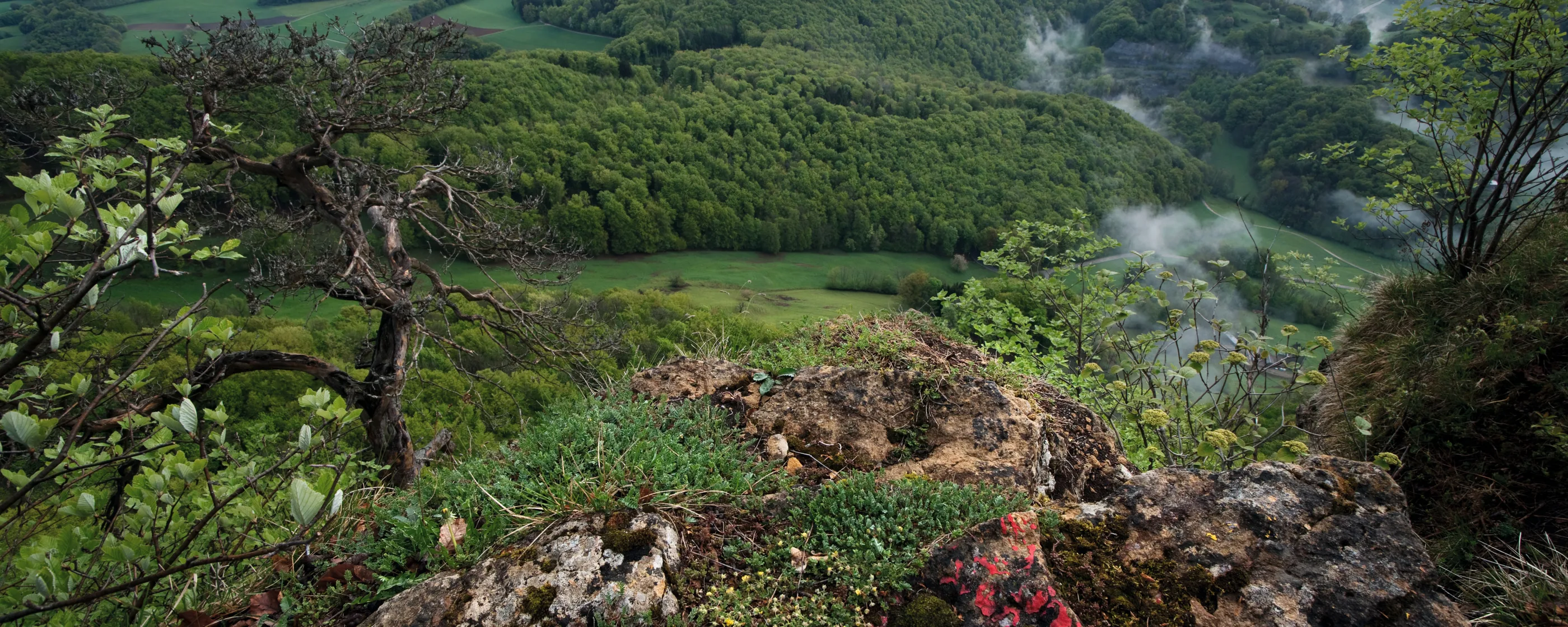 Jurapark Aarau, Wasserflue