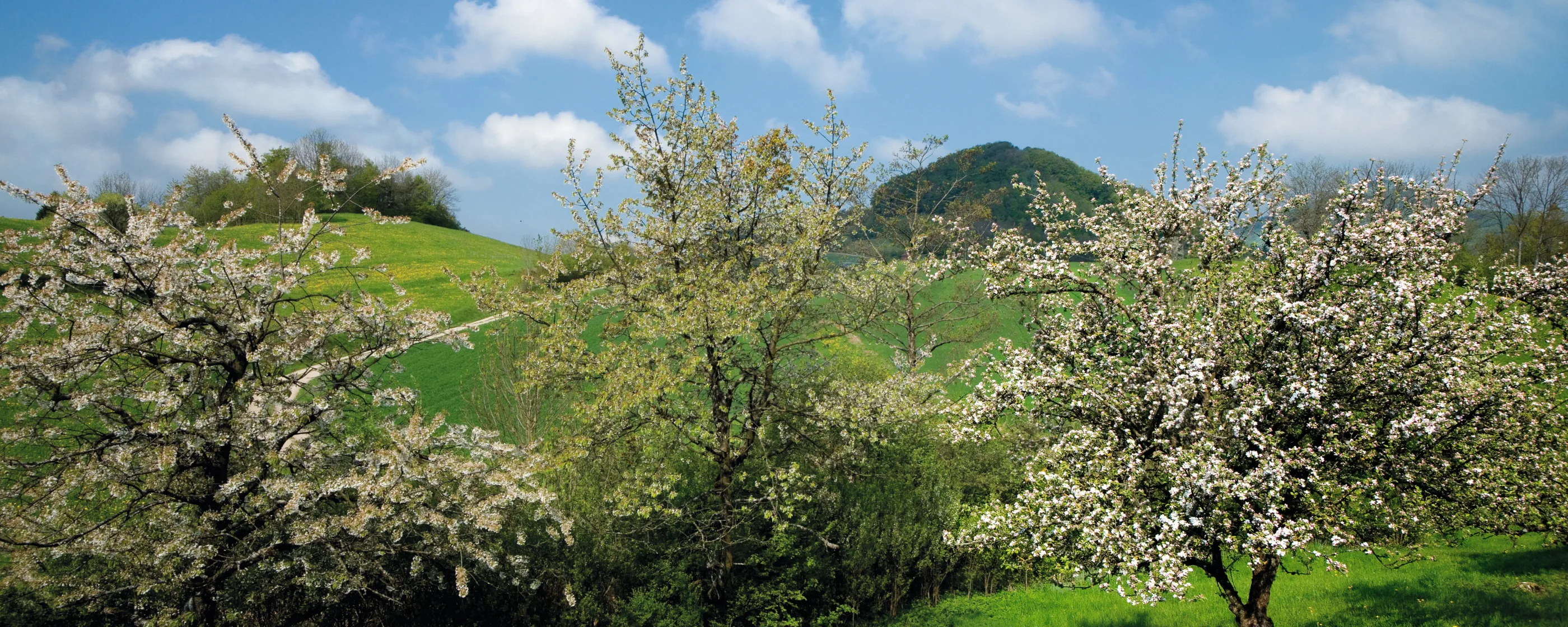 Naturpark Jurapark Aargau