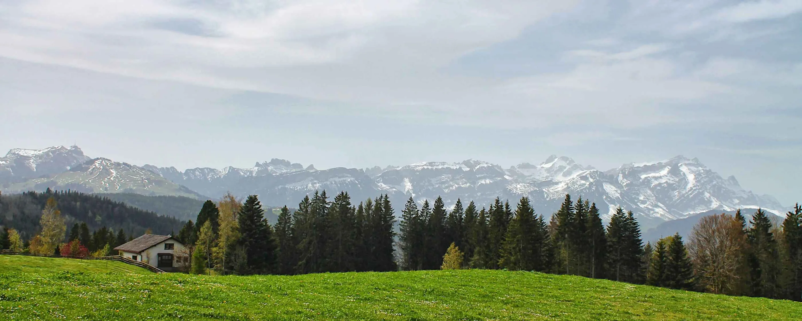 claudio-biesele-QpQiLW2fFtM-unsplash