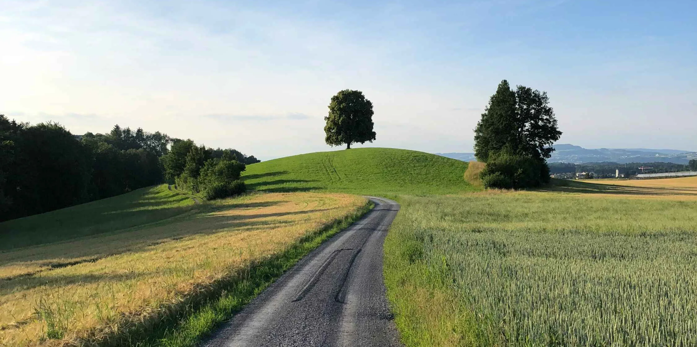 damian-stocker-AzlwS0d3Zi4-unsplash