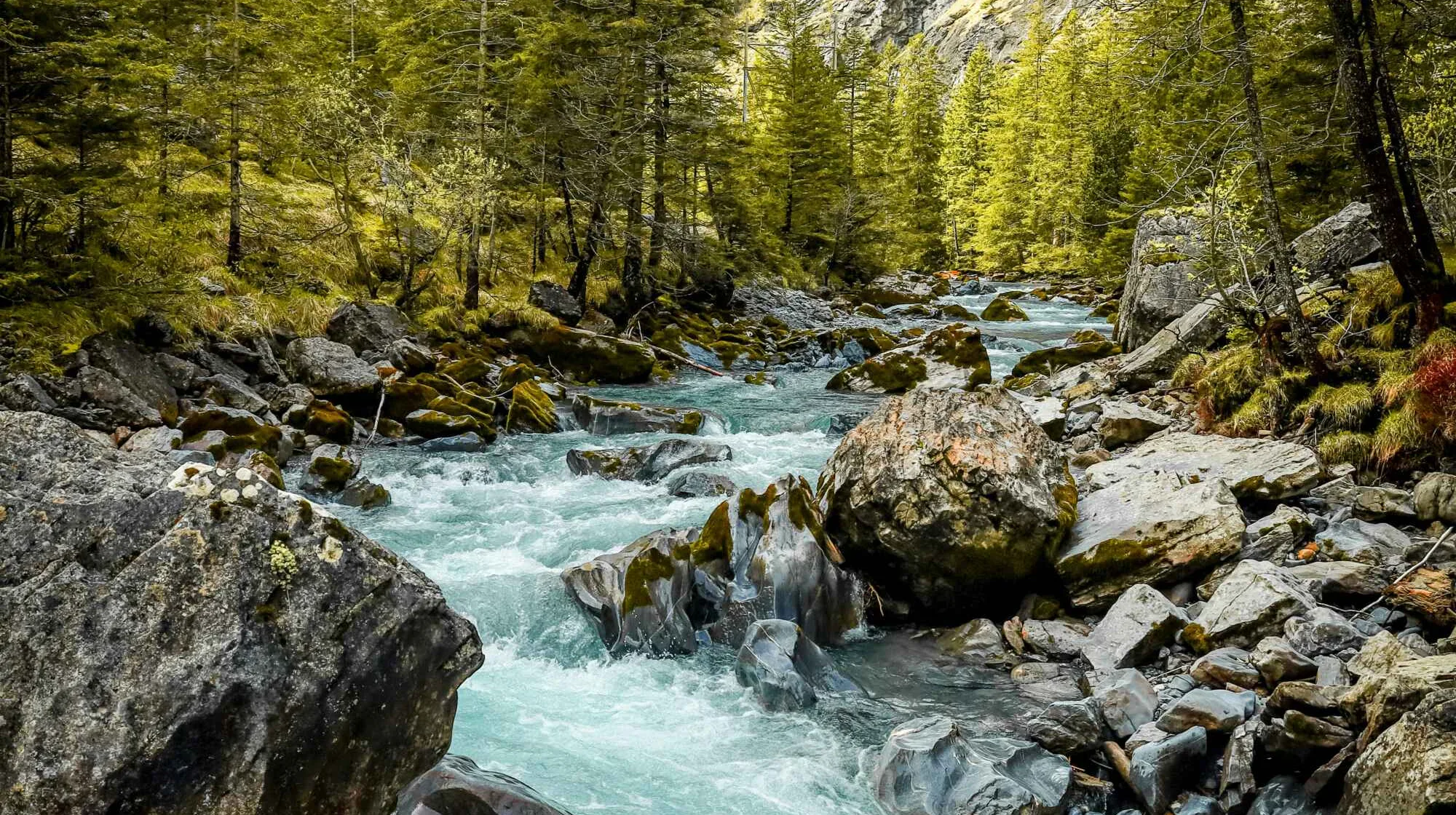 david-cerini-iR4dNOx-ZNs-unsplash