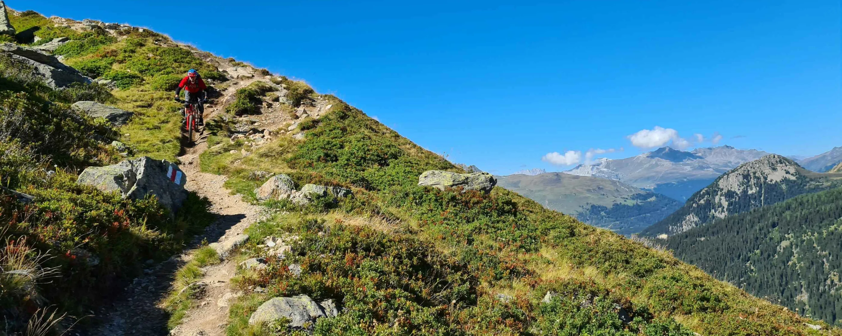 dick-honing-p-sYzPApxas-unsplash