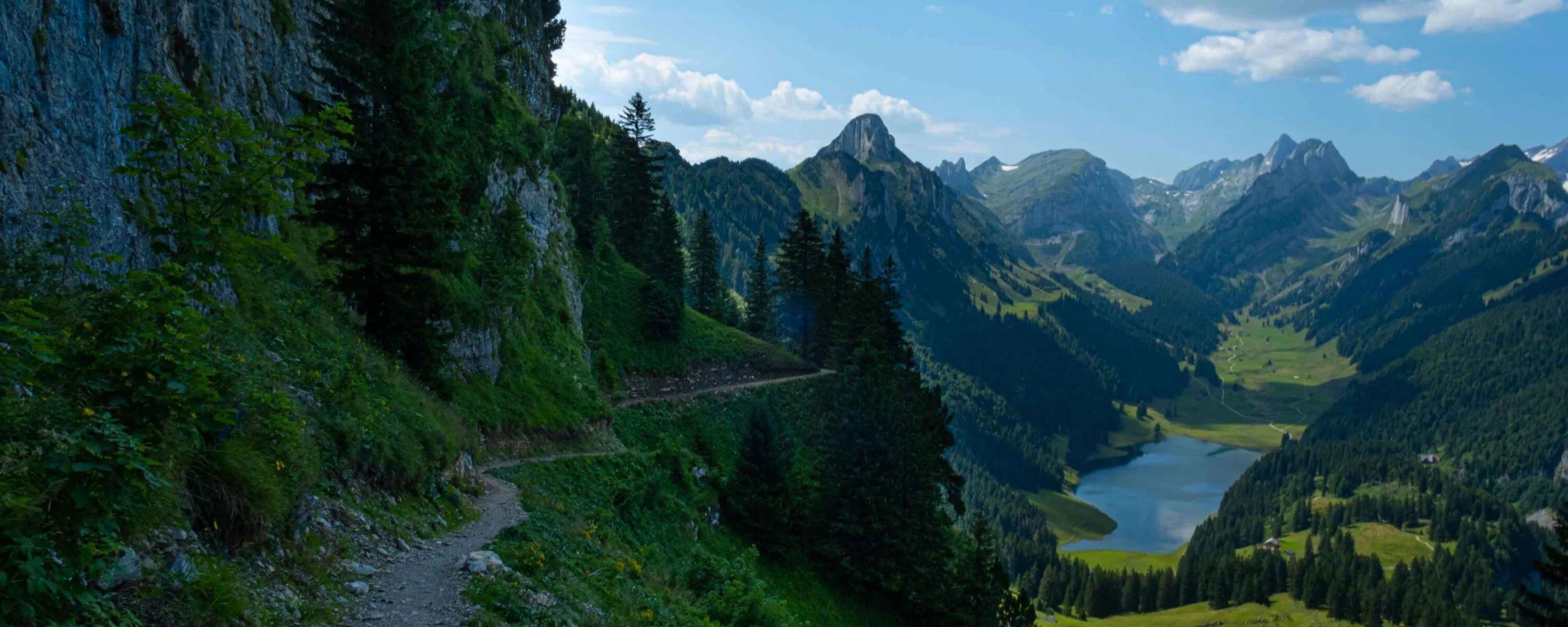 line-kjaer-PKyJP4f-Rfk-unsplash