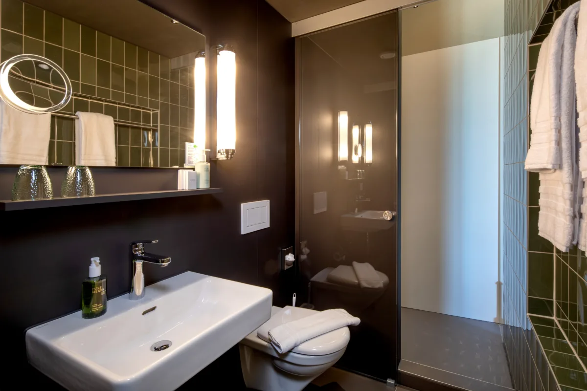 Hotel Aare Lodge : Quarto individual Botique