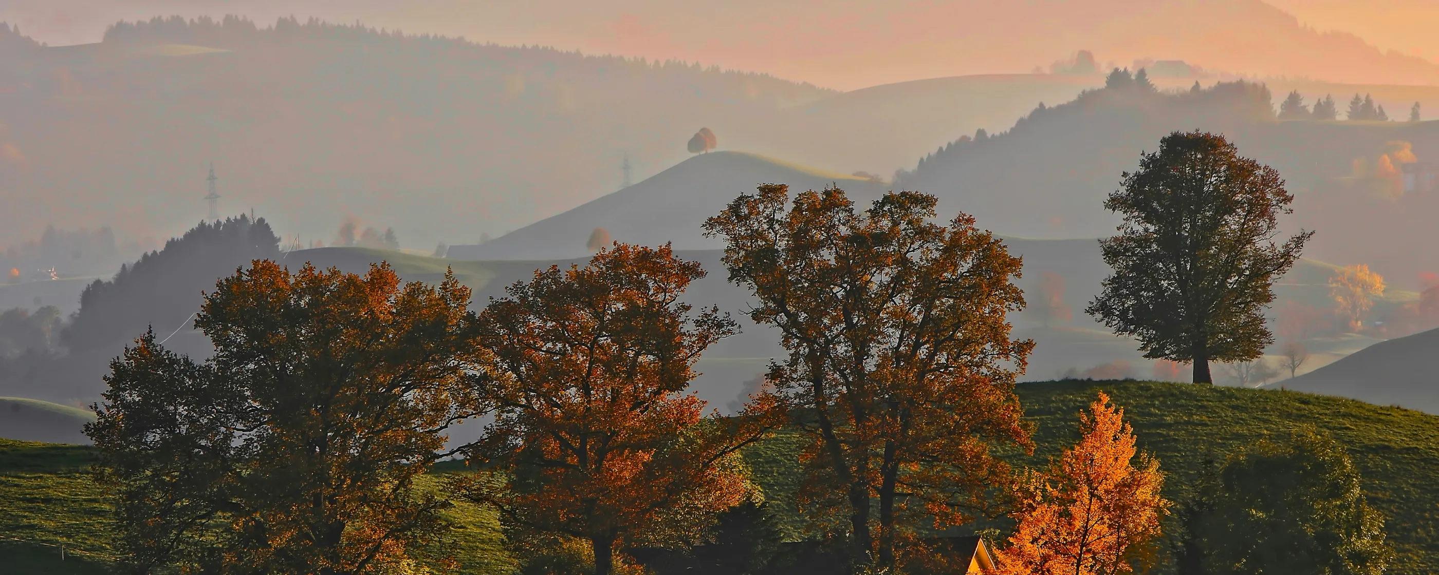 Herbstbilder (3)