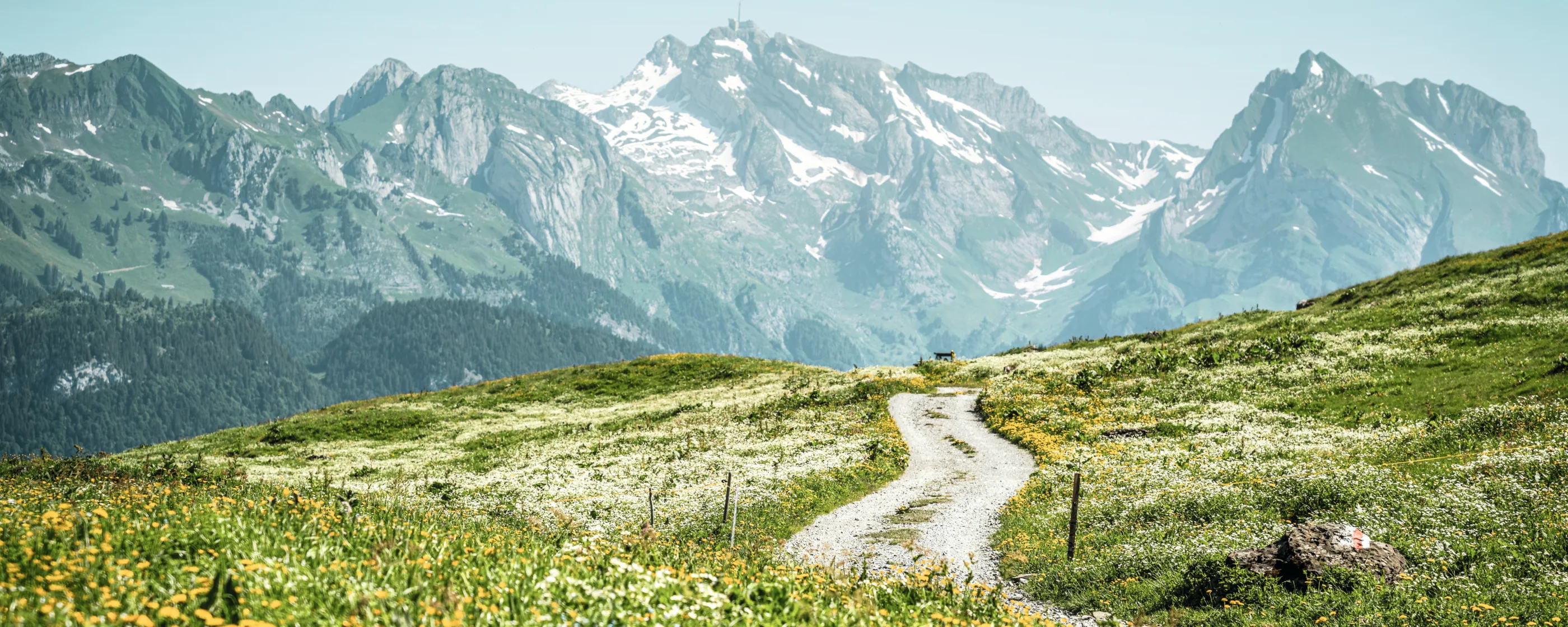 Switzerland Summer